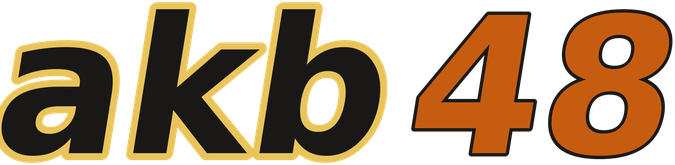 akb48 logo